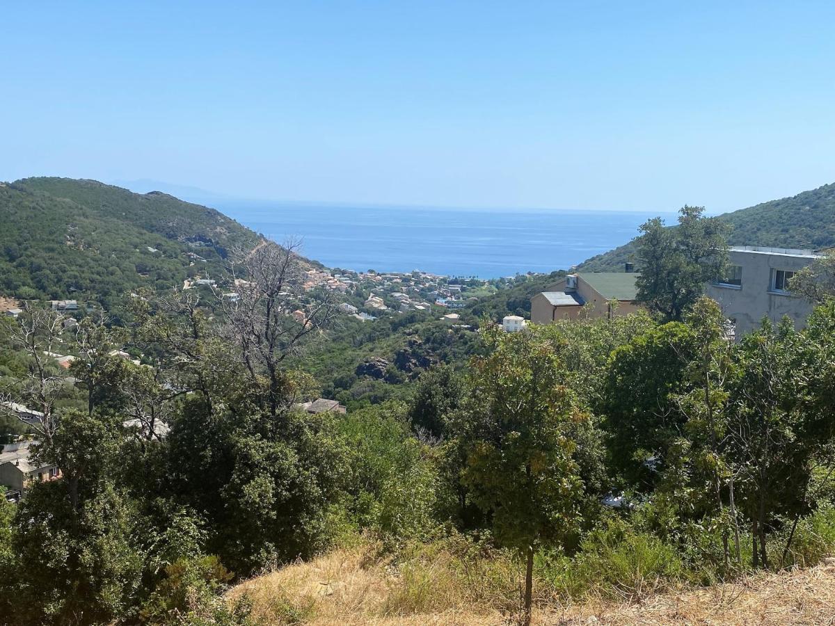 Logement de grand standing entre Mer et Montagne Santa-Maria-di-Lota Extérieur photo