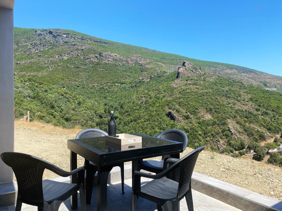 Logement de grand standing entre Mer et Montagne Santa-Maria-di-Lota Extérieur photo